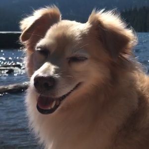 Meet your Posher, Olivia